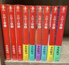 希少品　大甲子園　初版　全巻セット　水島新司 大甲子園 全巻セット 水島新司 豪華版 全10巻セット【初版本