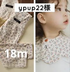 ypup22様