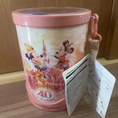 東京ディズニーリゾート 40周年 ポップコーンバケット