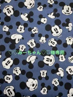 ♡♡みーちゃん♡♡様専用
