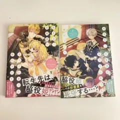 ある日、お姫様になってしまった件について1巻 2巻 セット