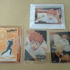 ハイキュー！！　日向翔陽　セット