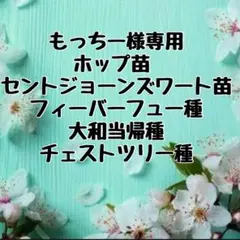 もっちー様専用 おまとめページ