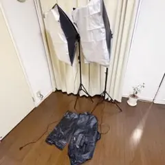 Item thumbnail for item e6d6dd20-afe9-491b-8a94-d312e8859564