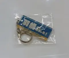 北海道日本ハムファイターズ　羽幌から来ました　キーホルダーのサムネイル