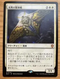 Tin Truong様 リクエスト 6点 まとめ商品