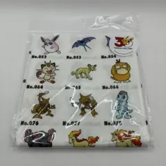 ポケモン 30周年　BIG　ハンカチ スリコ