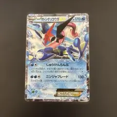 サトシゲッコウガEX P 次世代WHF’16 Winter 来場者特典 キラ … サトシゲッコウガEX P 次世代WHF'16 Winter 来場者特典 キラ - メルカリ