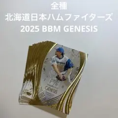 全種まとめ売り　GENESIS 日本ハム