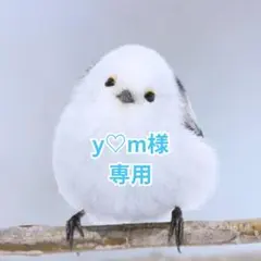 【4セット】ファイバー アイテープ アイプチ 二重 メザイク 10シート520枚