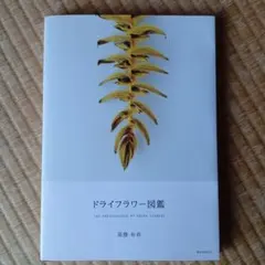 サトウリコ様 リクエスト 2点 まとめ商品