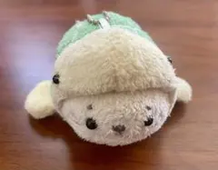 しろたん 亀に変身したい ぬいぐるみ アザラシ 着ぐるみ　平成レトロ
