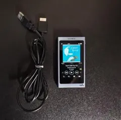 【美品】ウォークマン NW-A45 ムーンリットブルー +256GB SDカード