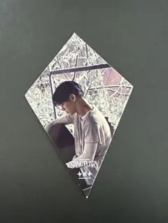 スビン　トレカ