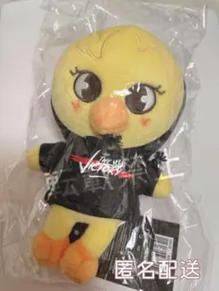 SALE！THEVICTORY SKZOO MINI PLUSHミニぬい