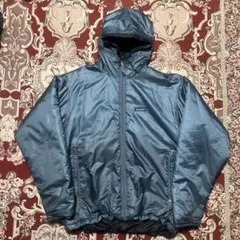 2002年製　patagonia down jacket ダスパーカー