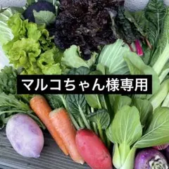 マルコちゃん様専用