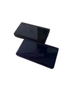 ニンテンドーDS Lite 本体　2点セット