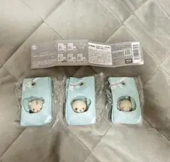 C-pla限定　ベビーくまカステラ　フローズン　3個セット