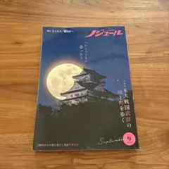 Item thumbnail for item b9ffee4d-fdae-4c86-bdff-4b45f130cb01