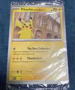 2026年最新】pikachu the movie premium boxの人気アイテム - メルカリ