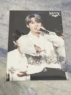 StrayKids    ライブフォト トレカ　リノ