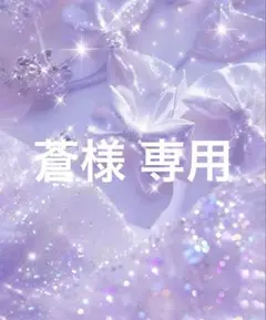 蒼 様 専用ページ