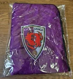 Item thumbnail for item 8e8645c4-926a-4694-ad7d-10c4570a8c84