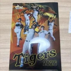 ◇非売品◇阪神タイガース◇クリアファイル◇2枚セット◇ - メルカリ