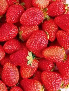 Ryo Yamasaki様専用