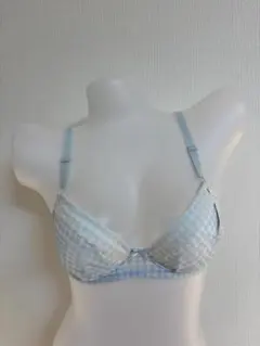 ウイングティーン ブラジャー ライトブルー D65 チェック柄