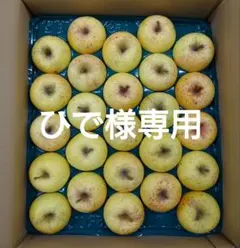 【ひで様専用】