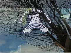 専用出品