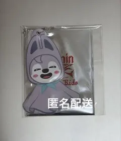 2026年最新】ウルフチャン うちわケースの人気アイテム - メルカリ