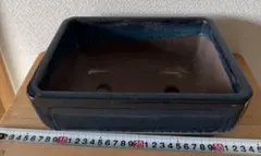 분재 화분 화분 야마노 화분 도자기제 직사각형 감색