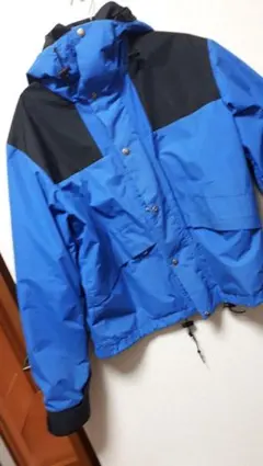 THE NORTH FACE 茶タグ　ゴアテックス