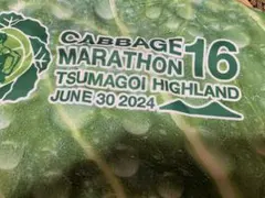 Item thumbnail for item 3dca2f05-db31-4c7a-94b1-1095e1d419eb