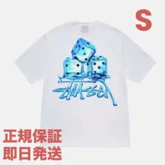 ❗️期間限定SALE❗️ステューシー メルツ Tシャツ ホワイトS