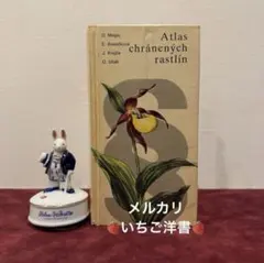 714①1957年チェコ果物図鑑 洋書古書 ジャンクジャーナル素材 ボタン