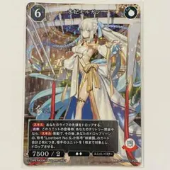 水妃モルガン SSR ビルディバイドブライト FGO - メルカリ