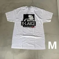 Item thumbnail for item 3944393e-ad3b-4cea-8416-71fbdd4b3ea6