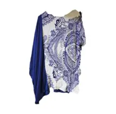 amina　アシンメトリー　Tシャツ 中古のサムネイル