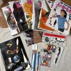 平成レトロ 小学六年生 1999年5月号 ポケモンスタンプ 付録未使用