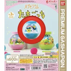 カプセリウム たまごっち　まめっち　みみっち　新作