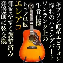 쇠고기 ☆ 엘레아코 Epiphone ☆ 해밍 버드! 연주하기 쉬운 조정☆신품의 현