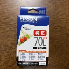 EPSON ICBK70Lのサムネイル