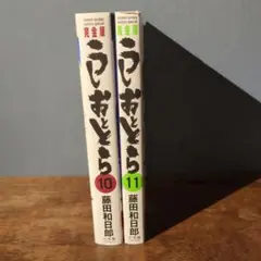 Item thumbnail for item 240c1a5e-6df1-480f-b565-4fba1609aae5