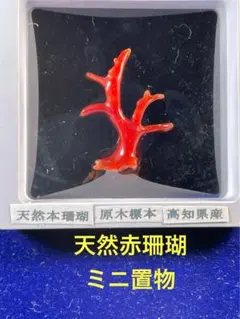 タツキ様 リクエスト 3点 まとめ商品