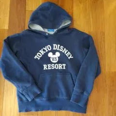 ディズニーリゾート