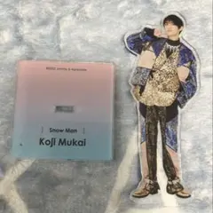 向井康二 アイドル